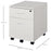 2-Drawer Locking Office Filing Cabinet w/ 5 Wheels Rolling Storage Hanging Legal Letter Files Cupboard Home Organisation White