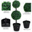 Set of 2 Artificial Boxwood Ball Topiary Trees Potted Decorative Plant Outdoor and Indoor Décor (67cm)