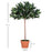 3ft Artificial Olive Tree Indoor Plant Greenary for Home Office Potted in An Orange Pot