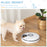 Automatic Pet Dog Cat Feeder w/ Digital Timer Six-Meal Food Dispenser