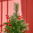 Pencil Artificial Christmas Tree with Realistic Branches, Red Berries, Auto Open, Green