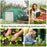 Walk-in Polytunnel Garden Greenhouse, Outdoor Greenhouse with PE Cover, Zippered Roll Up Door and 6 Windows, 3.5 x 3 x 2m, Green