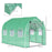 Walk in Polytunnel Greenhouse with Windows and Door for Garden, Backyard (3 x 2M)