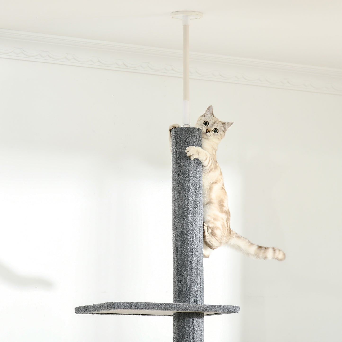 260cm Floor To Ceiling Cat Tree for Indoor Cats w/ Three Platforms Activity Centre - Grey